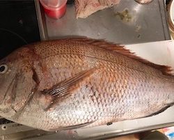 オフショアジギング