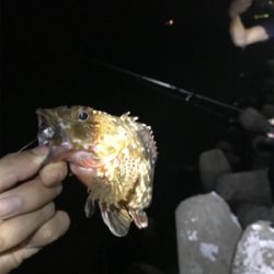 根魚練習Part3（年なしチヌバラシ編）