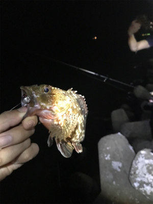 根魚練習Part3（年なしチヌバラシ編）