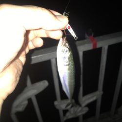 夜ふかしアジング