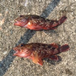 暑かったけど楽しかったです