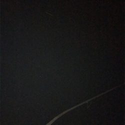 アジングのつもりが…