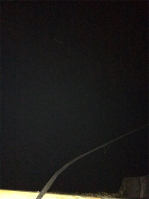 アジングのつもりが…