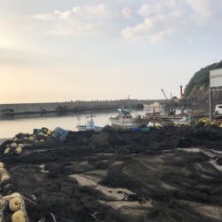 リハビリアジング