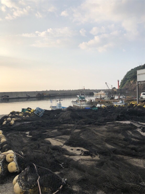 リハビリアジング