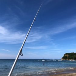 灼熱のキス釣り