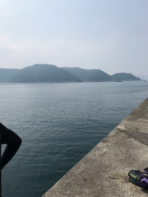 ペンペンダブル