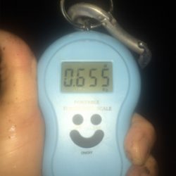 濁り、関係なし