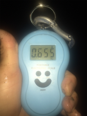 濁り、関係なし