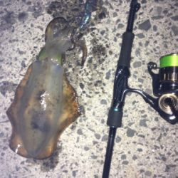 最近調子が良いです