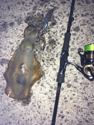 最近調子が良いです