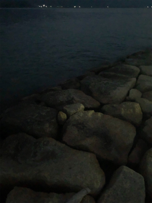 シーバス狙いのはずが…