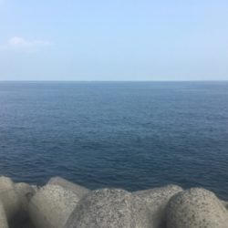 ツバス戻ってきてー