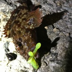 ガシリングからのジギング！