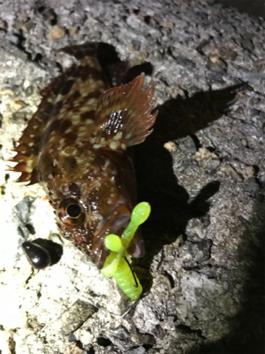 ガシリングからのジギング！