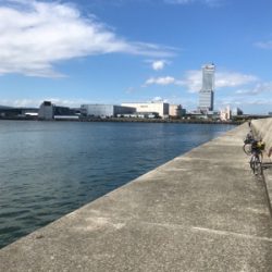 チヌさん留守かな？