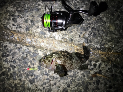 ライトゲーム&ライトショアジギング