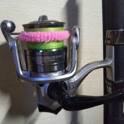 今週もオクトパッシング（南港）