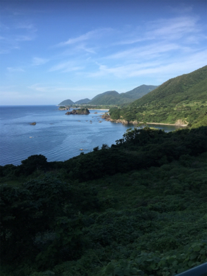 シュノーケリングフィッシング