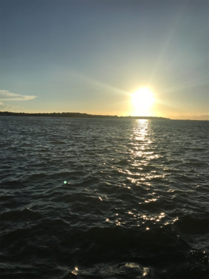 こんな感じです！