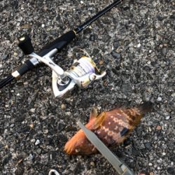 仕事終わりのアジング釣行