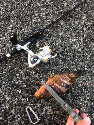 仕事終わりのアジング釣行