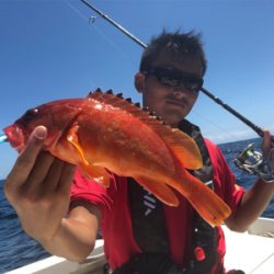 オフショアハードロックゲーム