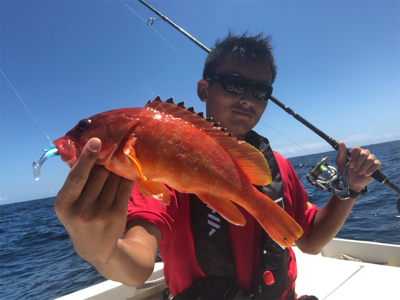 オフショアハードロックゲーム