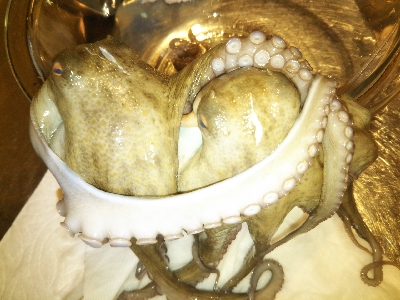 竿が折れ心も折れた、