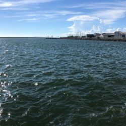 ちょっとだけ遠征も？