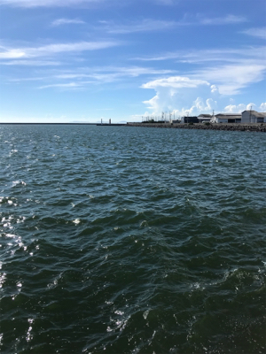 ちょっとだけ遠征も？