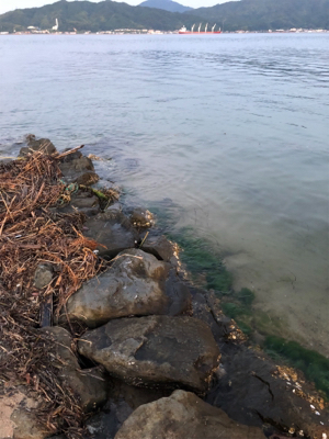 フラットフィッシュ狙い