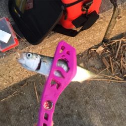 ジグサビキ&フロートアジング