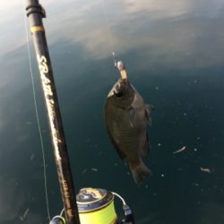 西日本豪雨災害後