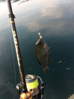 西日本豪雨災害後