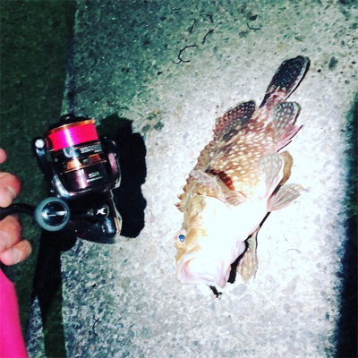 久々のmy fieldへ