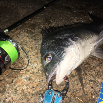 淀川ブリームゲーム エアーノット地獄