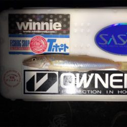 粘りの大キス狙い