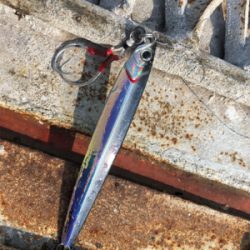 懲りずにショアジギング