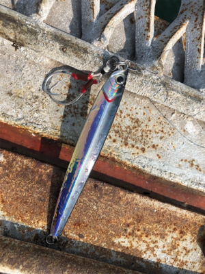 懲りずにショアジギング