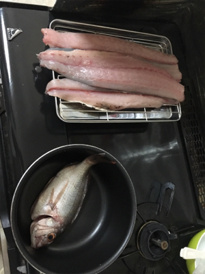 初ペンペンペンペンシイラ