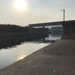 カマス釣れ始めました！