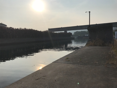 カマス釣れ始めました！