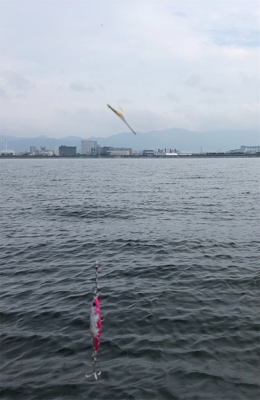 台風前の…はなく、地味な釣果へ
