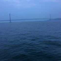 ケンサキ釣れたよ！