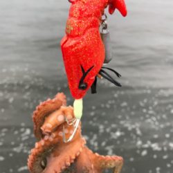 キター！って思ったけど