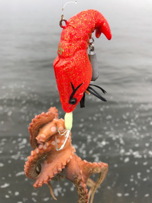 キター！って思ったけど