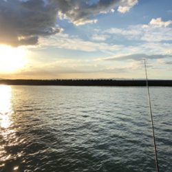 息子とちょい投げ