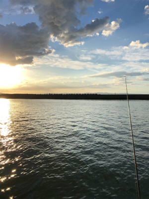 息子とちょい投げ