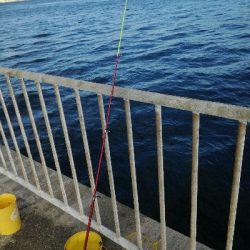 ファミリーフィッシング